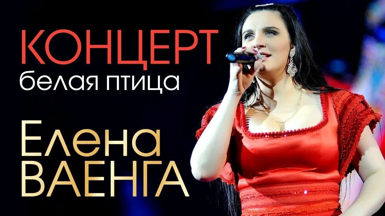 Ваенга концерт белая птица 2010. Ваенга принцесса. Ваенга белая птица концерт. Ваенга концерт белая птица 2010. Ваенга белая птица концерт.