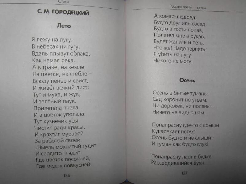 Стихотворение 28 строк. Городецкий стихи. Стихотворения Сергея Городецкого. Островский стихи детские.