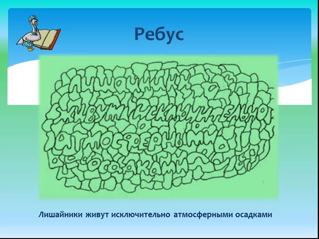 Ребус лишайник. Головоломки по биологии. Ребус ягель. Ребус по теме лишайники.