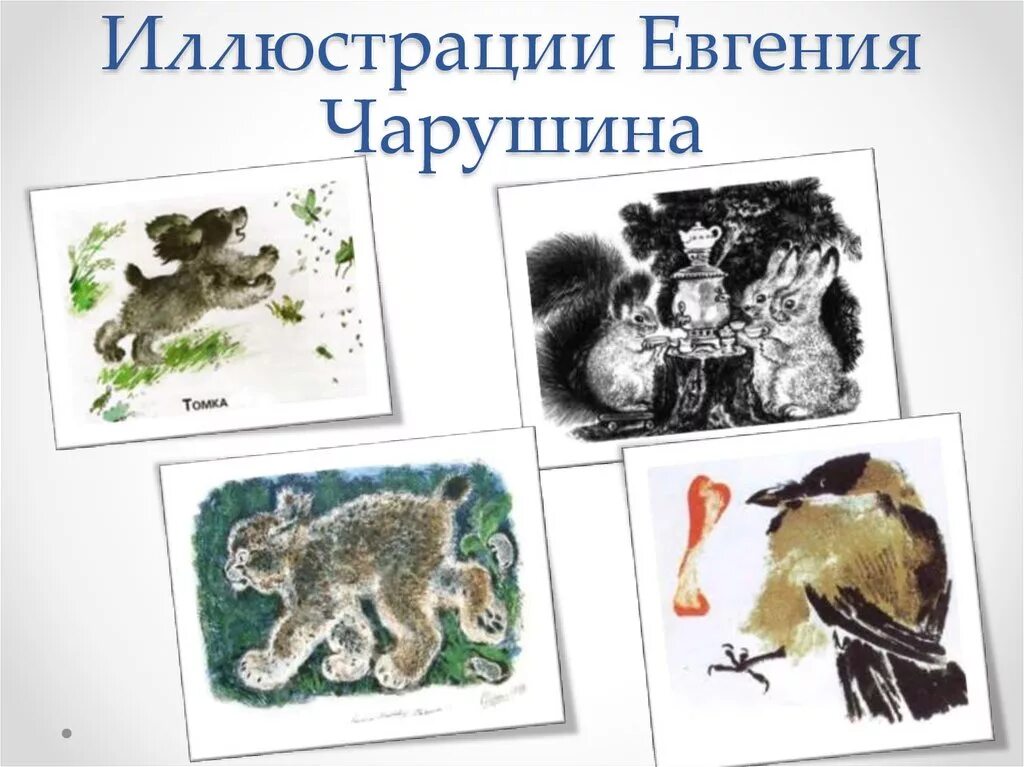 Иллюстрации Чарушина к детским книгам других авторов.