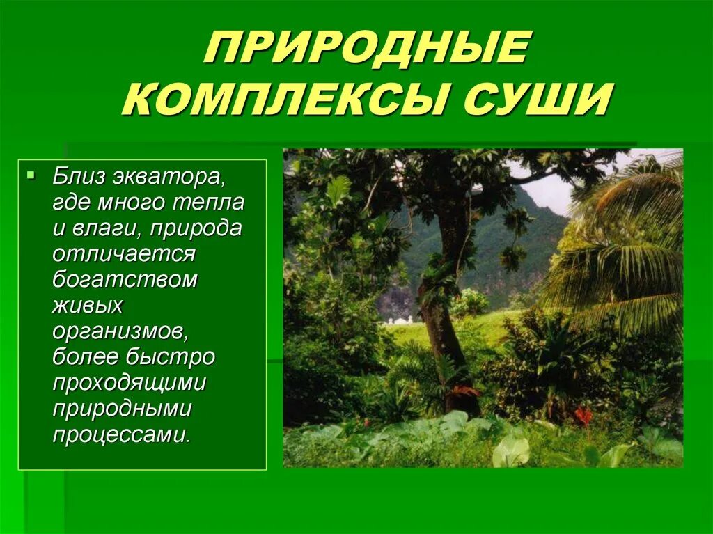 Природные компоненты суши. Природные комплексы суши. География природные комплексы суши. Характеристика природного комплекса суши. Природно-территориальные комплексы суши.