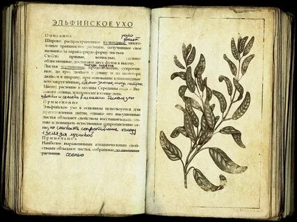 Описание растений книга