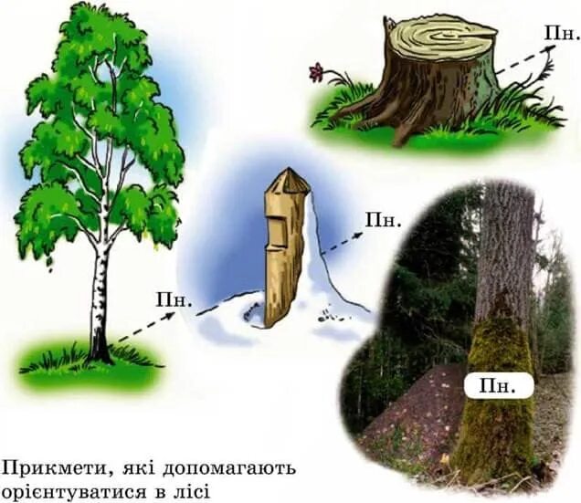 Природные признаки сторон горизонта рисунки 2 класс