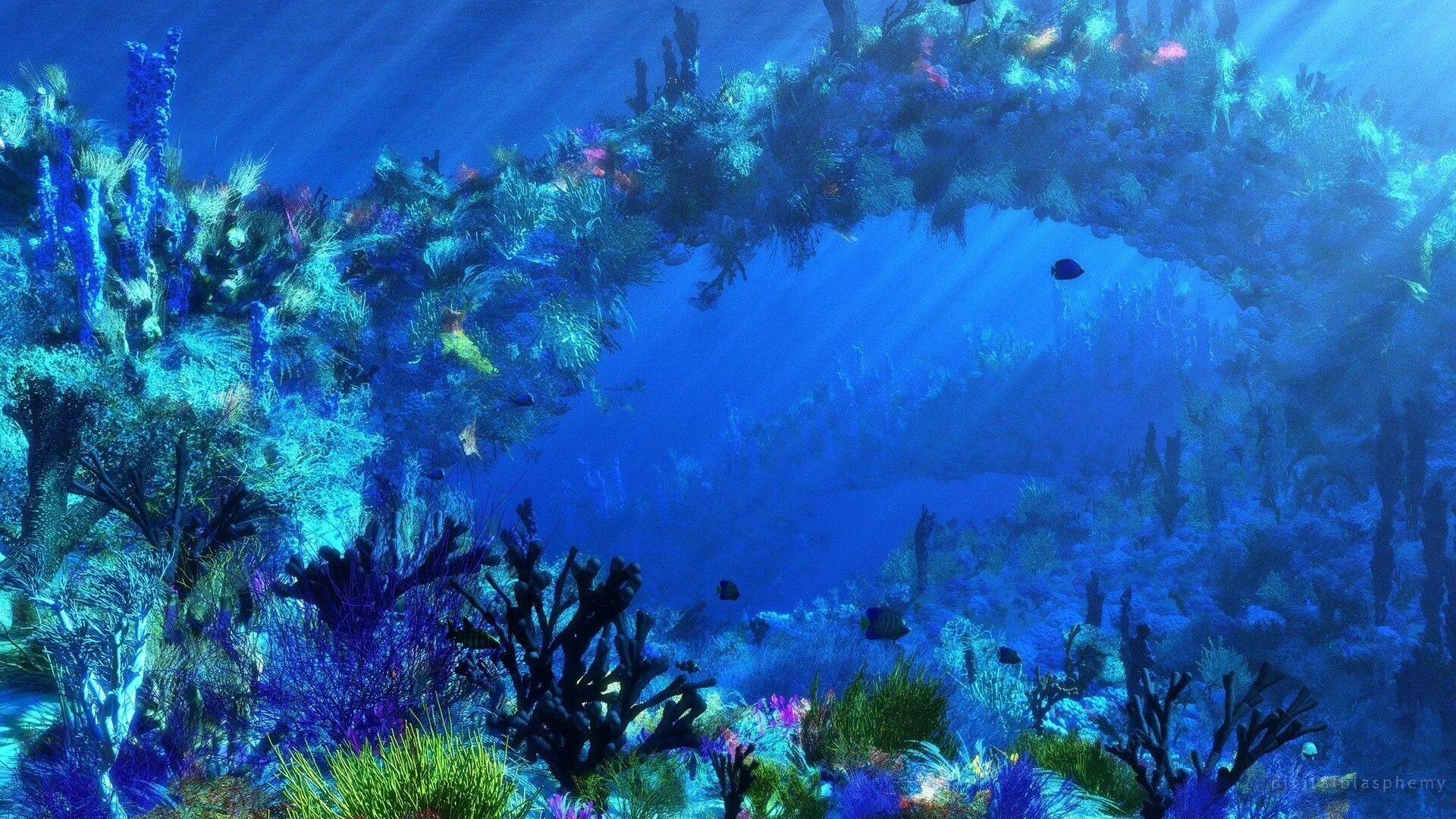 3 внутренних океана. Подводный мир. Подводные пейзажи. Дно океана. Морское дно.