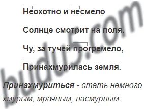 Русский язык третий класс упражнение 161. Русский язык 3 класс упражнение 161 162. Неохотно и несмело упражнение 161.