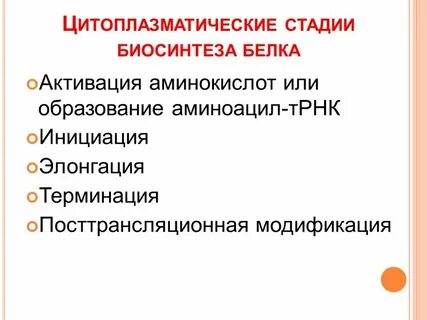 Стадии белка