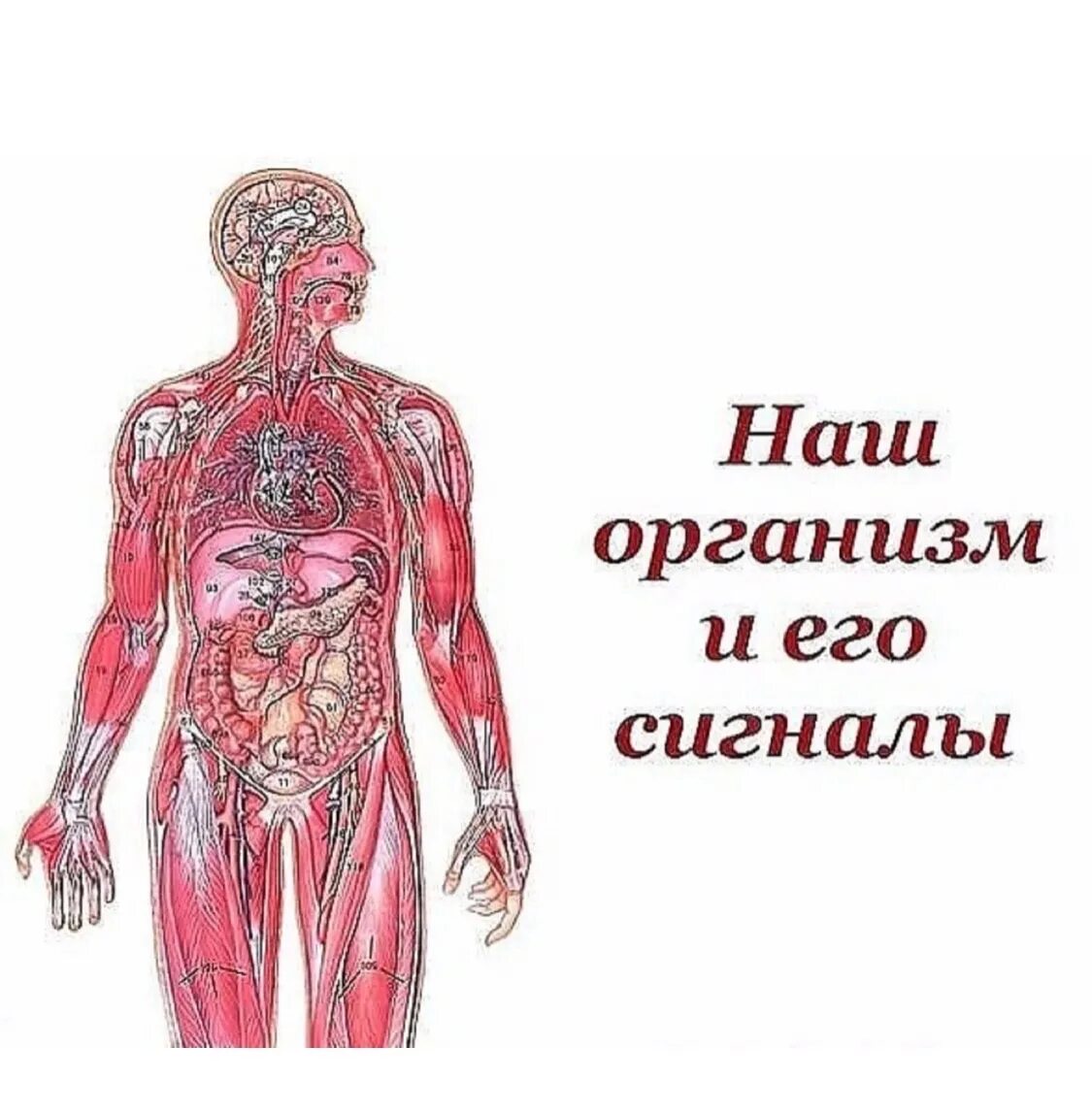 Текущее состояние органов и систем организма