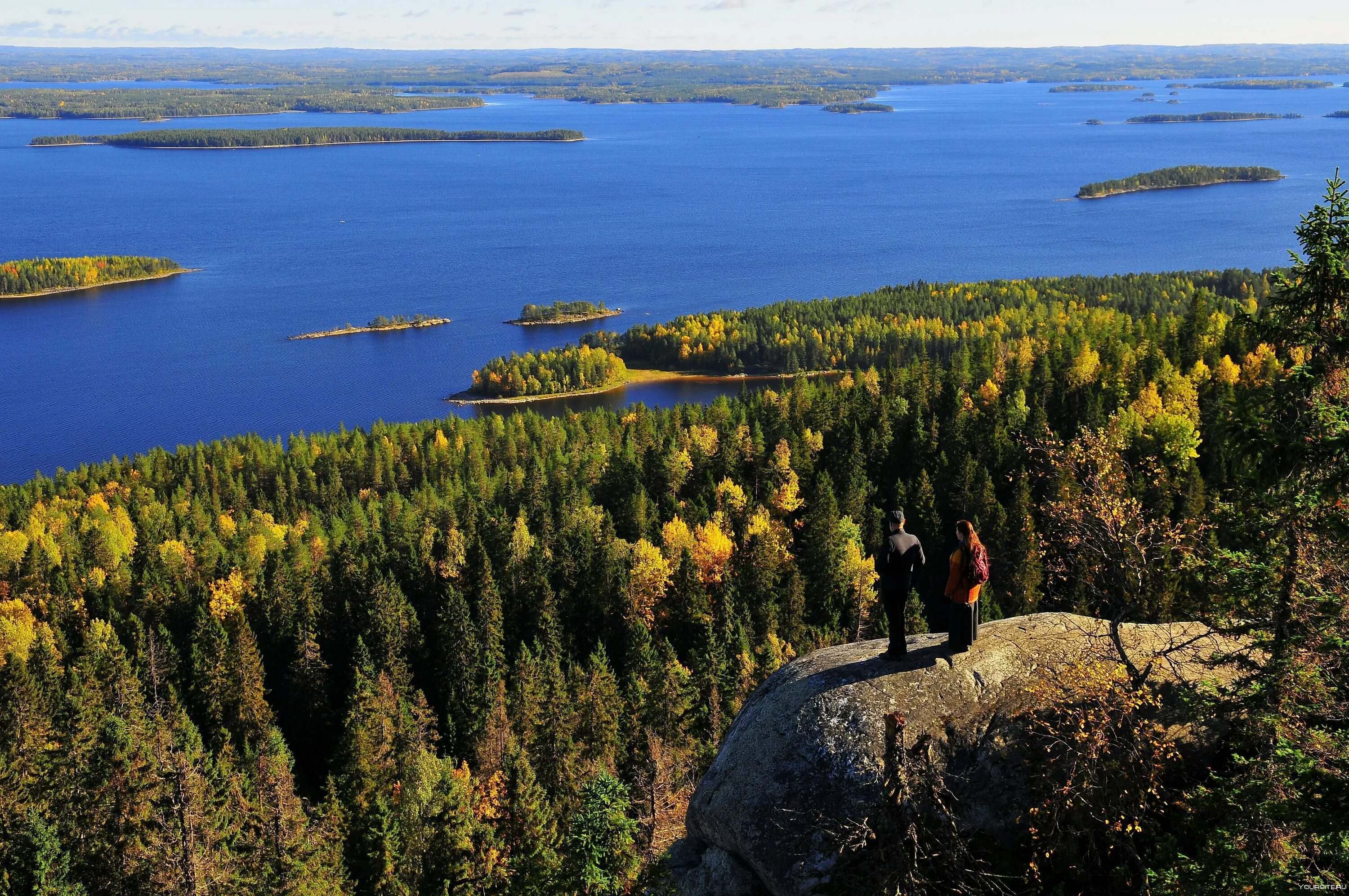 Озеро Паанаярви Карелия. Koli национальный парк в Финляндии. Паанаярви национальный парк. Парк Паанаярви Карелия. Природные богатства карелии