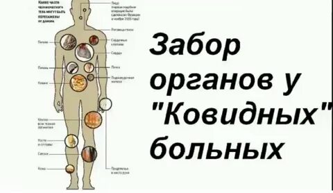 Какой орган страдает