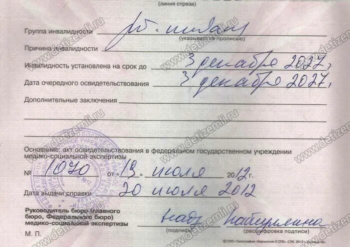 1 группа инвалидности срок. Группы инвалидности по зрению. Инвалидность по зрению критерии. 1 Группа инвалидности по зрению. МСЭ И инвалидность по зрению.