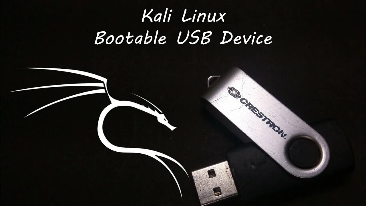 Подключение флешки linux. Kali linux на флешку. загрузочная флешка kali linux. kali linux usb. флешка с линуксом.