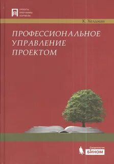 Профессиональное управление проектами