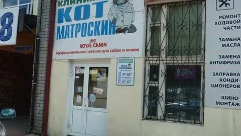 Кот матроскин ветклиника нижний новгород