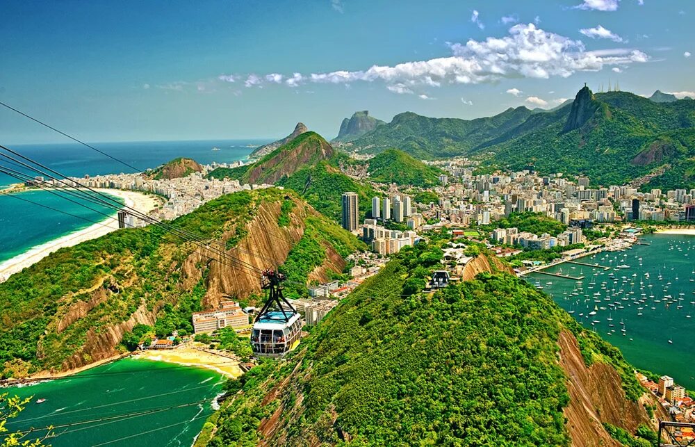 мачу пикчу ламы. перу куско мачу пикчу. туры в латинскую америку. мачу пикчу перу о заповеднике. горы мачу пикчу.