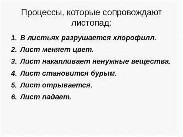 Порядок процесса листопада