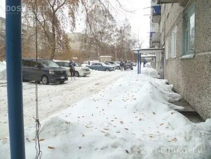 Светлая 86 новосибирск