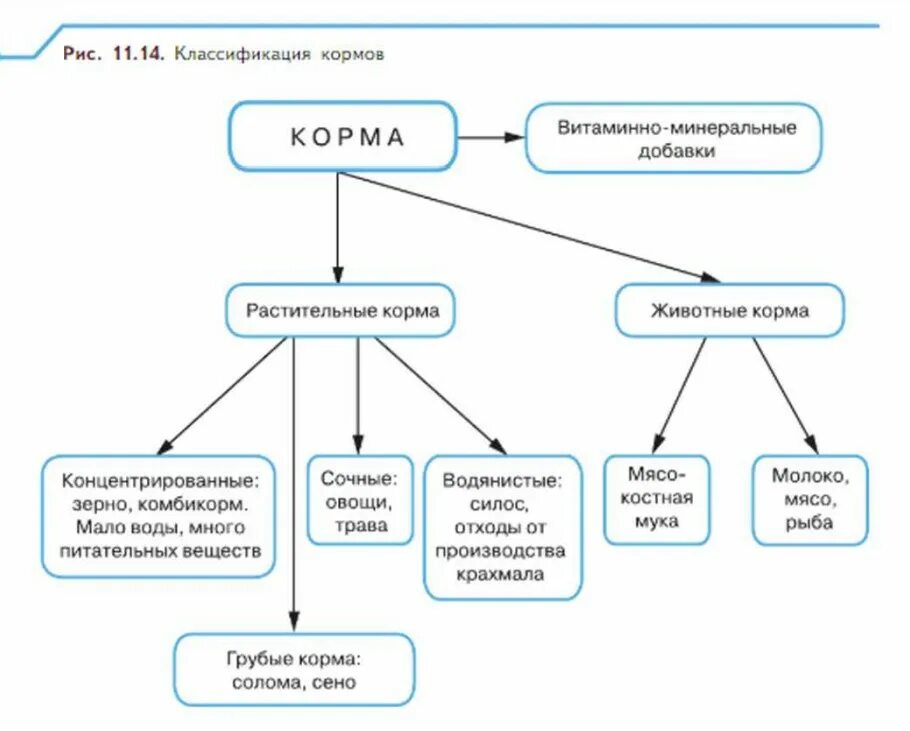 Основные группы растительных кормов. Классификация кормов для животных. Схема классификации кормов. Классификация кормов таблица. Классификация кормов для сельскохозяйственных животных.