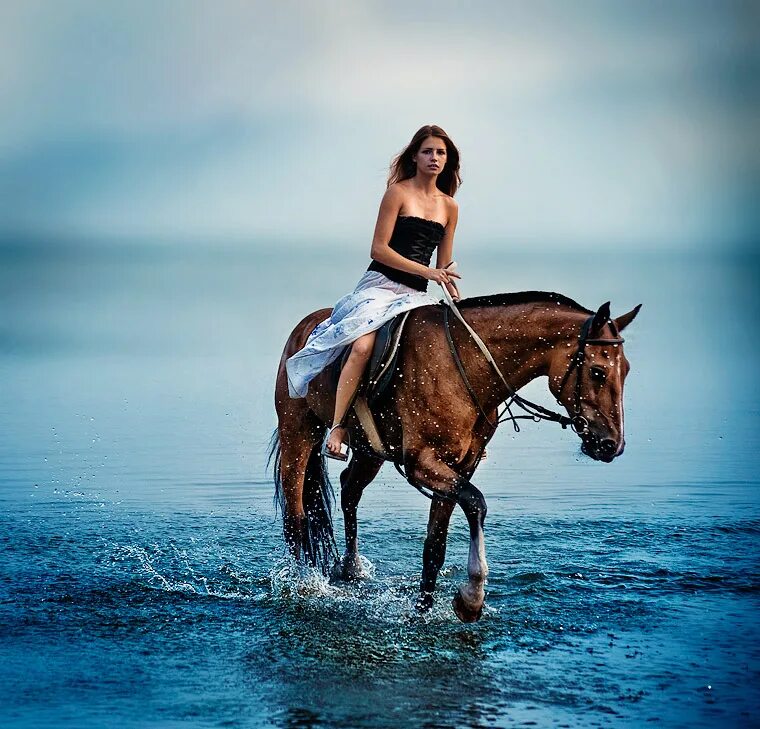 лошадь бежит. девушка с лошадью. Saddle seat лошади. верхом сбоку. лошадь вид с боку.