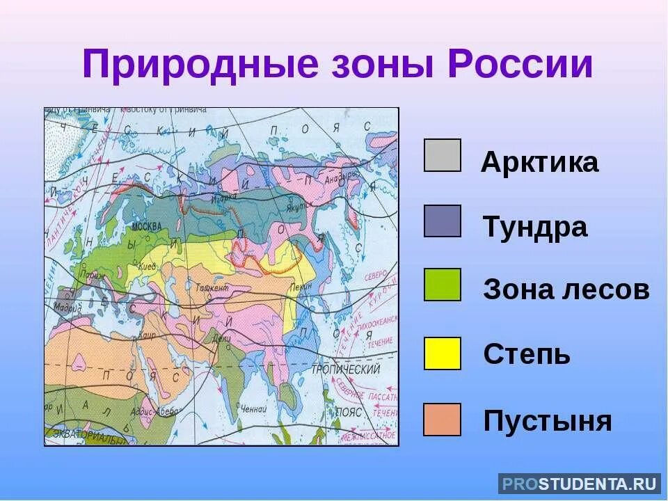 Природные зоны россии конспект урока 4 класс. Карта России леса степи Тайга тундра. Климатические зоны России 4 класс. Карта природных зон мира 4 класс окружающий мир. Климатические зоны России карта 4 класс.