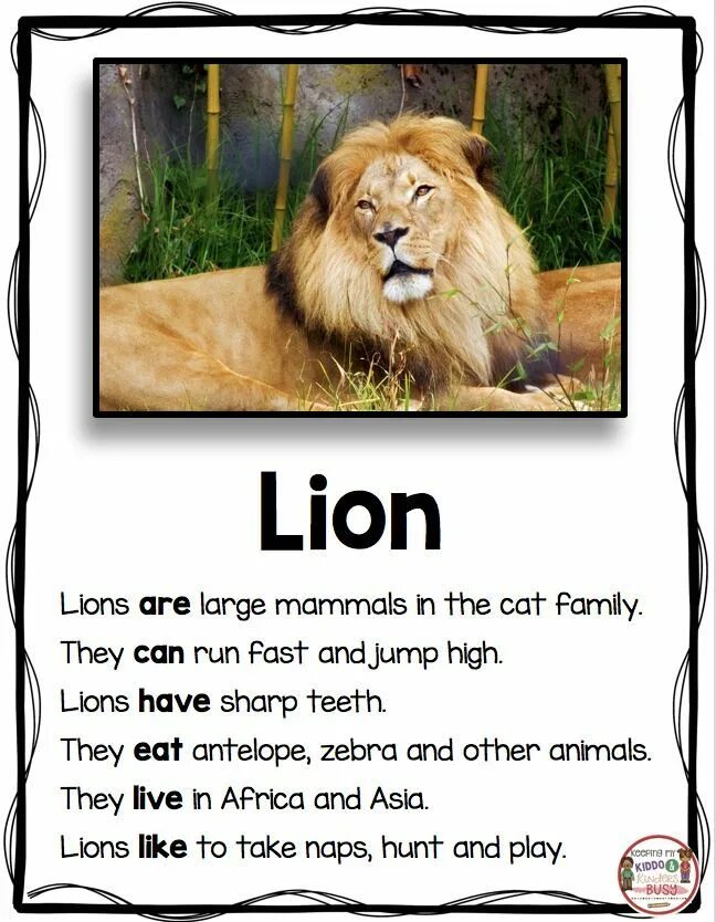 Write about animals перевод. About lions for children. animals текст. lion на английском. lion text for kids.