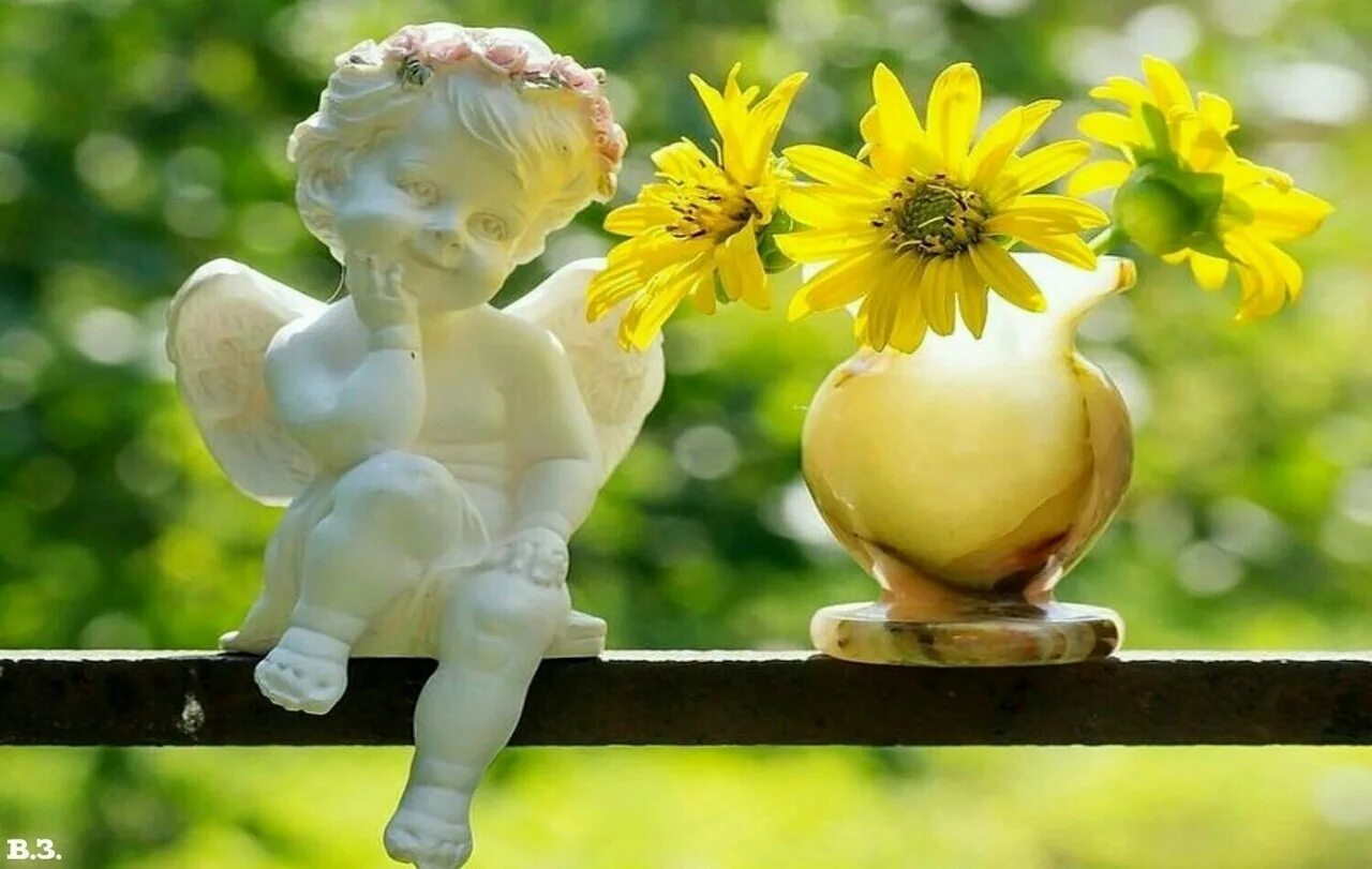 Доброе утро света и тепла. Жизнь дарит радость и цветы. утро счастье радость. доброе утро ангелочек цветы. душевного тепла и солнечного настроения.