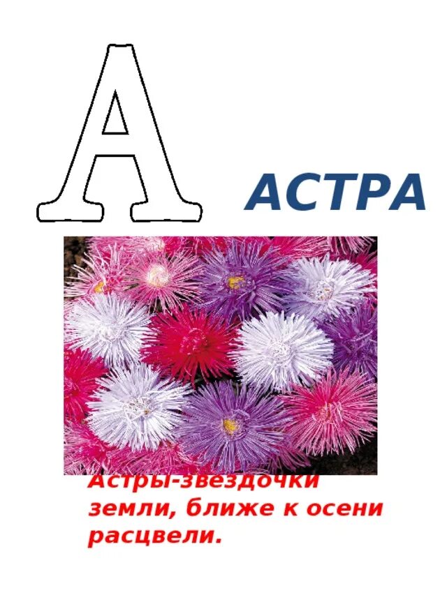 Проект Азбука цветов. Азбука цветов обложка. Азбука в цветах 1 класс. Цветы по азбуке.