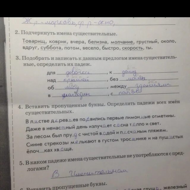 Тема 10 имя существительное вариант 1
