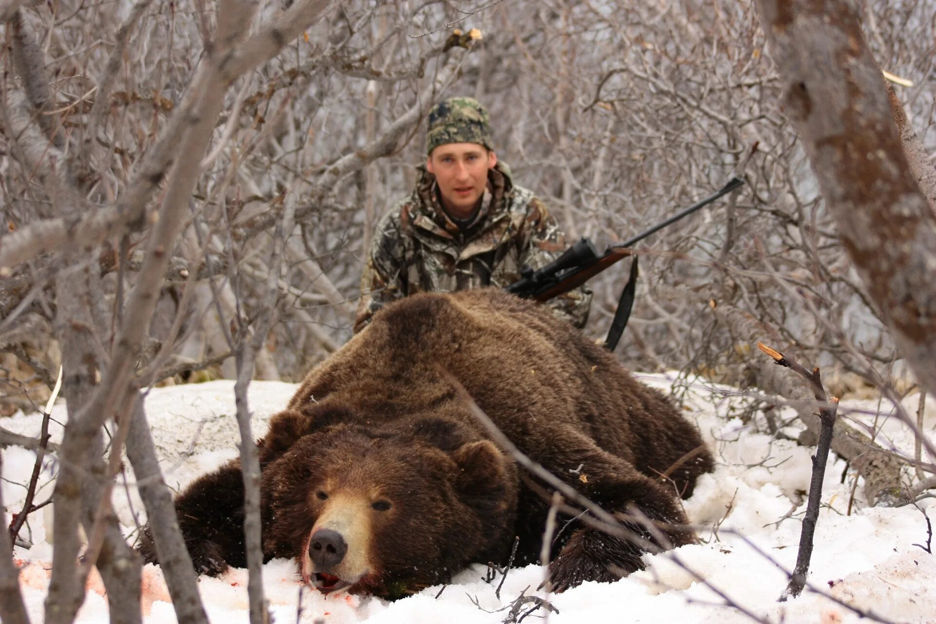«охота на медведя» ( 2013 г. охотник охотился на медведя. охота на бурого медведя в тайге. охотник охотился на медведя. камчатский бурый медведь охота.
