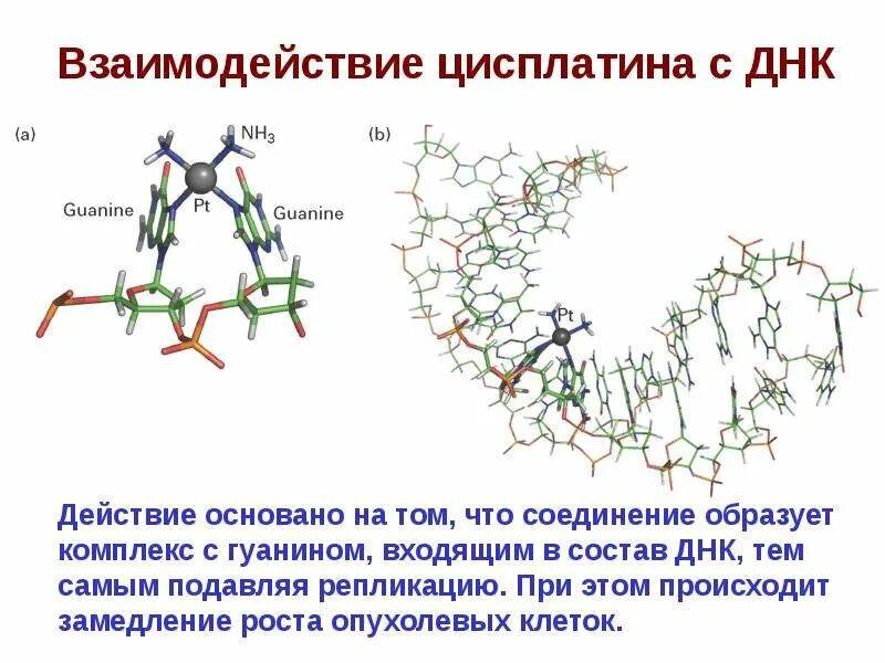 Цисплатин порошок. Механизм действия платиносодержащих препаратов. Цисплатин структура. Оксалиплатин формула. Цисплатин химия.