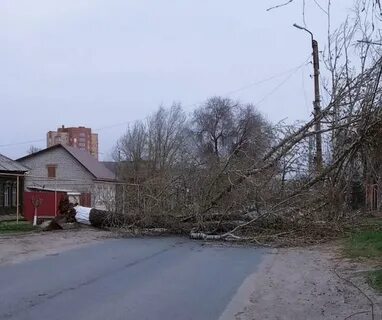 Мал сызрань