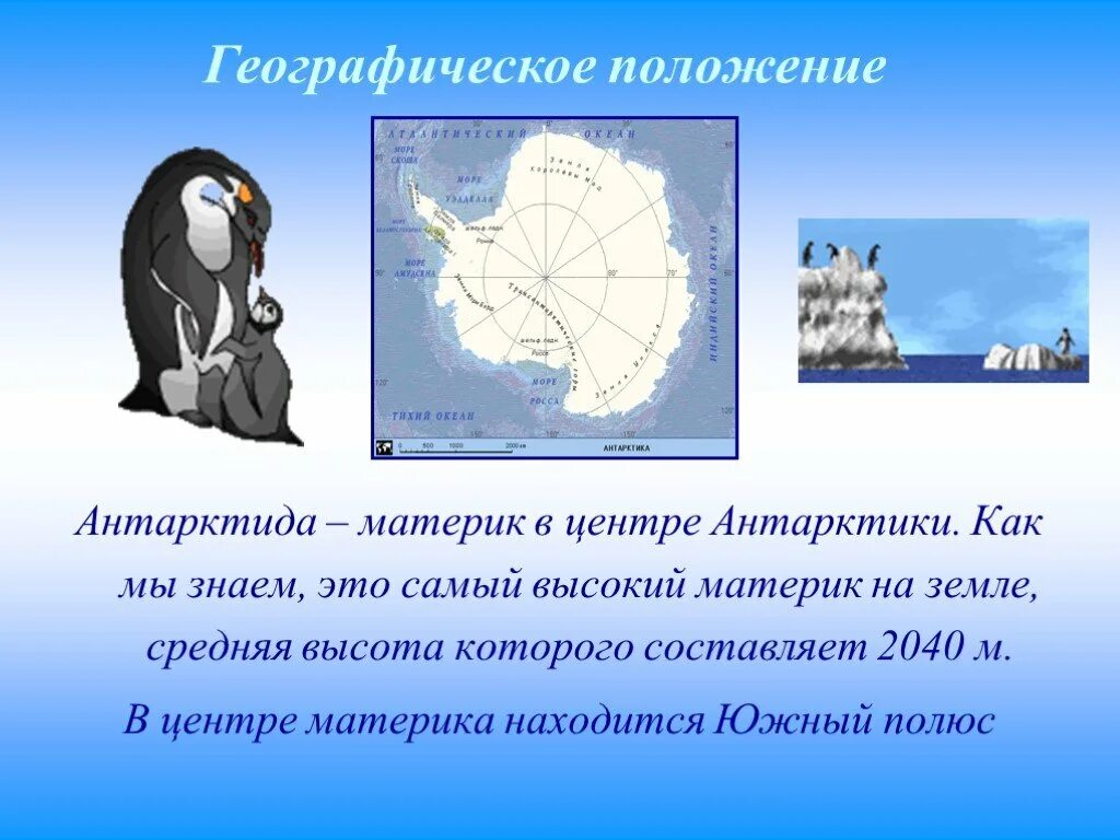 Антарктида (материк). Презентация на тему материк Антарктида. Антарктида кратко о материке. Проект про материк Антарктида.