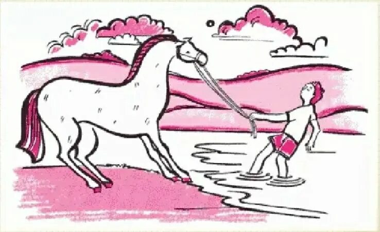 Заставить его пить и заставить его. Приведешь лошадь к водопою. можно привести коня к водопою но заставить его напиться нельзя. ведет коня. лошадь пьет воду.