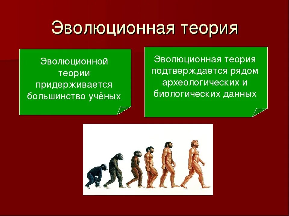 Создание эволюционной теории. Эволюционная теория. эволюционистская теория. развитие теории эволюции. эволюционное учение.