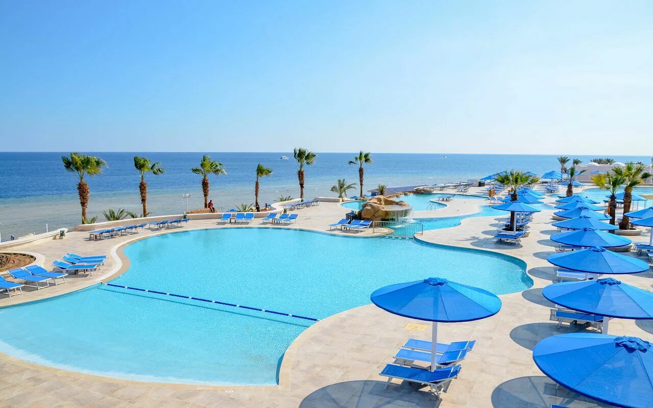 Шарм-эль-шейх отель альбатрос палас. Fun sun family albatros palace 5 шарм-эль-шейх. Fun sun family albatros palace 5 шарм-эль-шейх. Cyrene grand египет. Альбатрос роял гранд шарм-эль-шейх.
