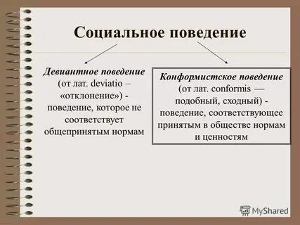Понятие и определение социальных норм