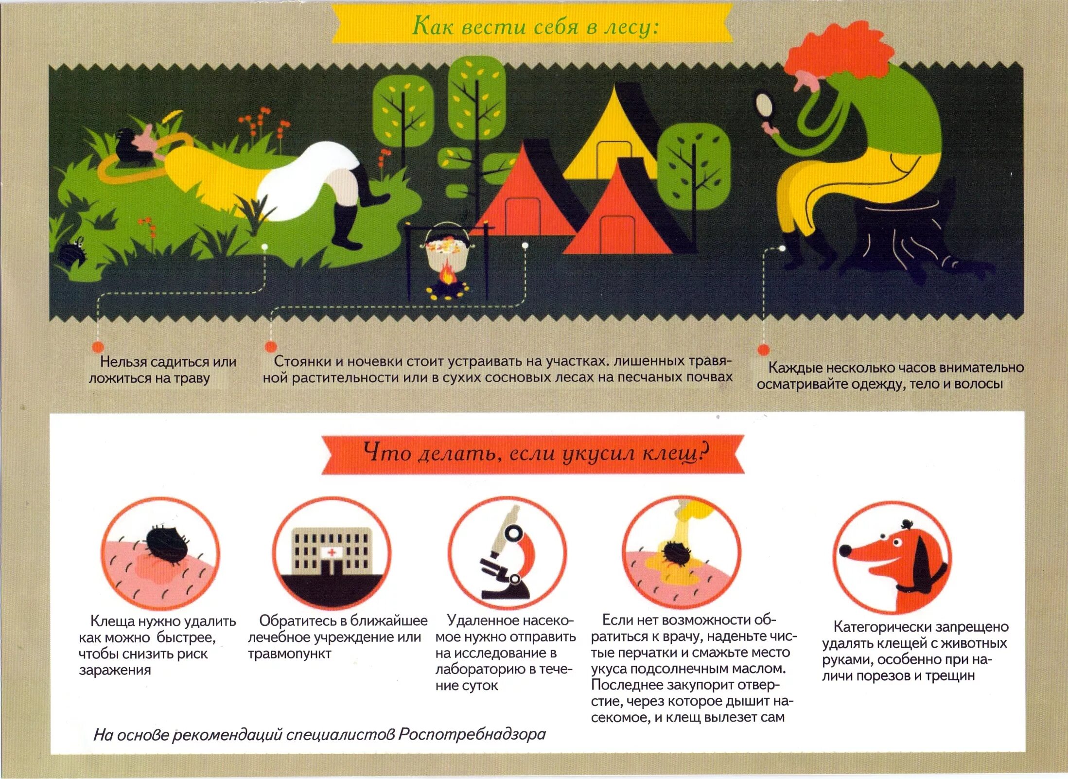 Сели что нельзя делать. Памятка как избежать укуса клеща. Клещи в лесу памятка. Профилактика от клещей. Профилактика укусов клещей.