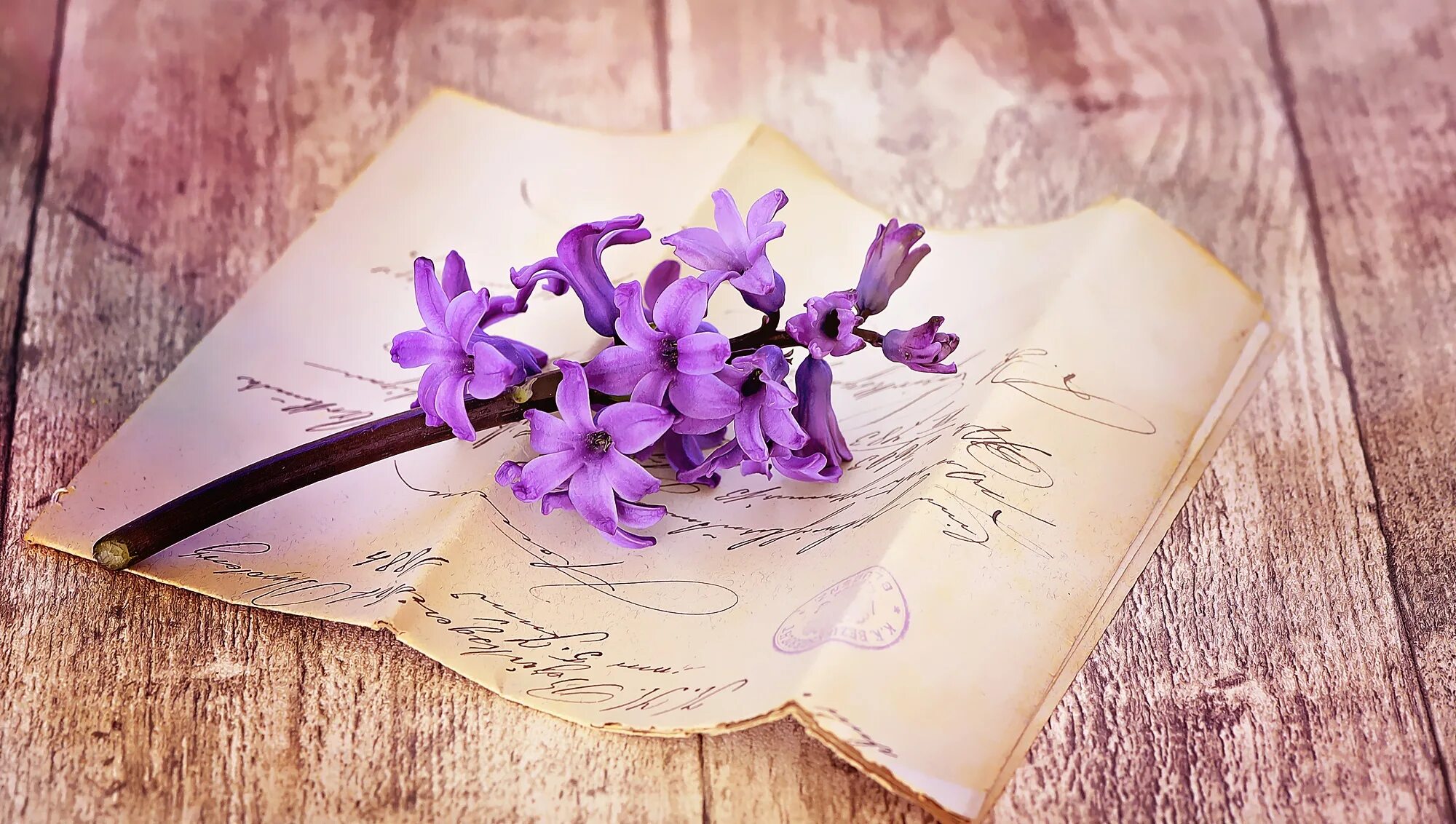 Самое нежное письмо. Письмо и цветы. Красивое письмо. Фон цветы и книги. Нежные послания.