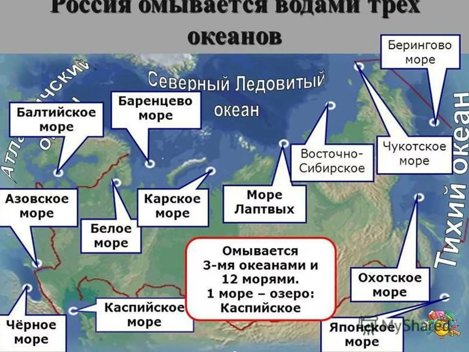 Северное море омывается. Россия омывается водами океанов. омывается водами трёх океанов ______________, ___________________ и __________________________.. моря омывающие россию на карте. моря омывающие россию.