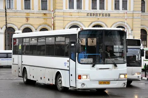 Автобус 118