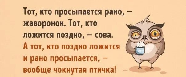 Жаворонок рано встает. Жаворонок просыпается рано. Жаворонок Сова чокнутая птичка. Кто поздно ложится тот. Встав рано утром мы с товарищем