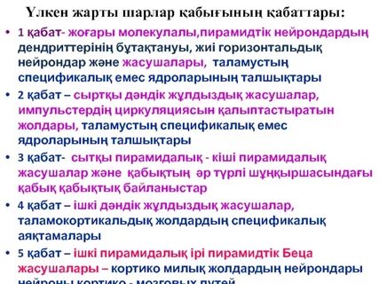 Үлкен шарлар көп сперматозоидты ағызады