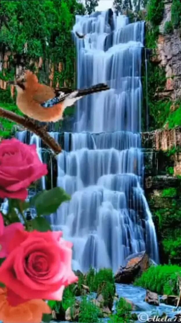 Мерцающие природа. Красивый водопад и птицы. розы водопад. живая природа водопады цветы. цветы на фоне водопада.