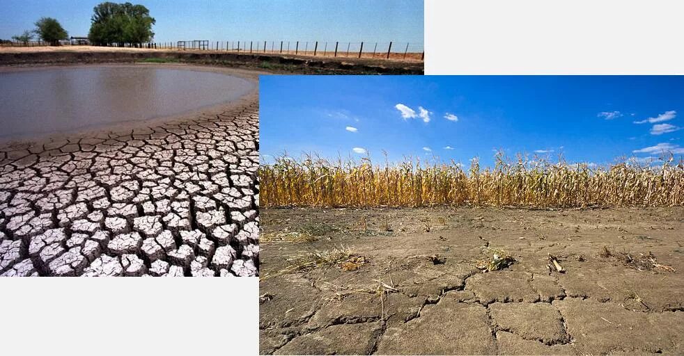 виды мелиорации. мелиорация осушение. мелиорация земель презентация. рекультивация земель презентация. мелиорация мероприятия.