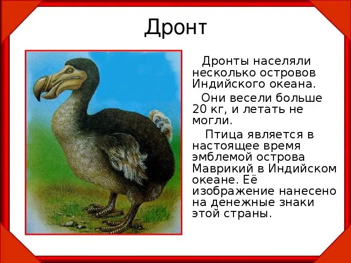 Почему вымерли додо