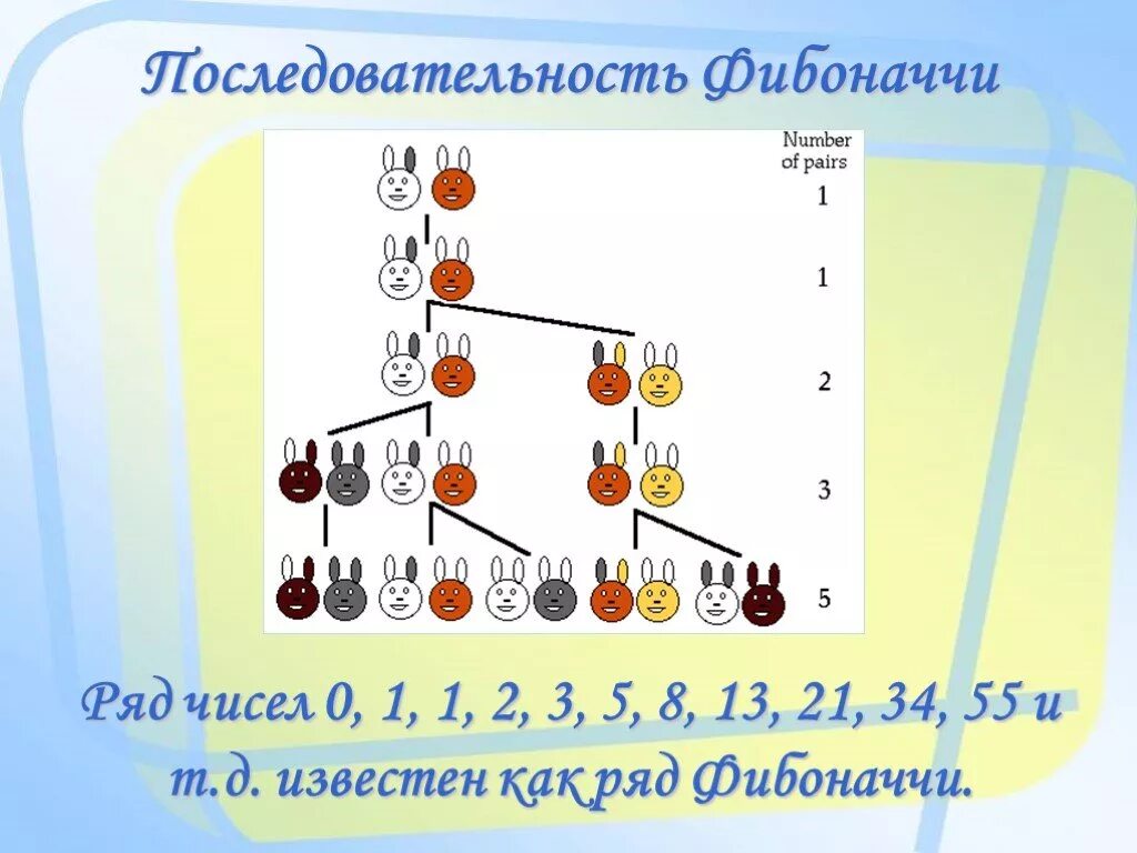 Система фибоначчи. Ряд фибоначчи. последовательность фибоначчи. ряд фибоначчи числа. числа фибоначчи картинки.