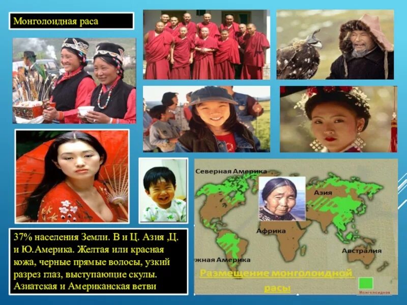 Монголоиды (Азиатско-американская раса. Места расселения монголоидной расы. Монголоидная (желтая раса). БТС монголоидная раса.