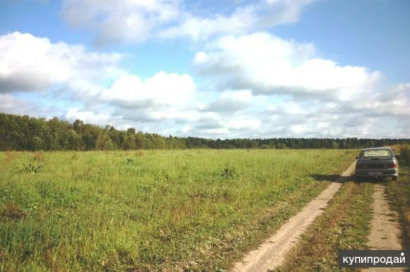 Топорково сергиев посад. Погода топорково сергиево. Топорково сергиев посад. Интернат топорково сергиев посад. Топорково московская область.