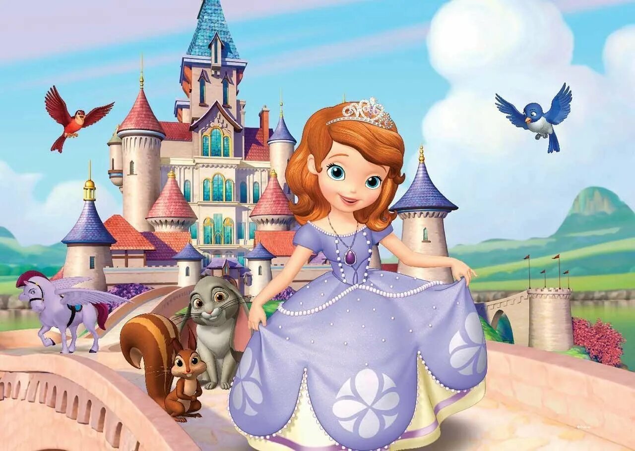 Маленькая принцесса замок. Замок принцессы Софии.