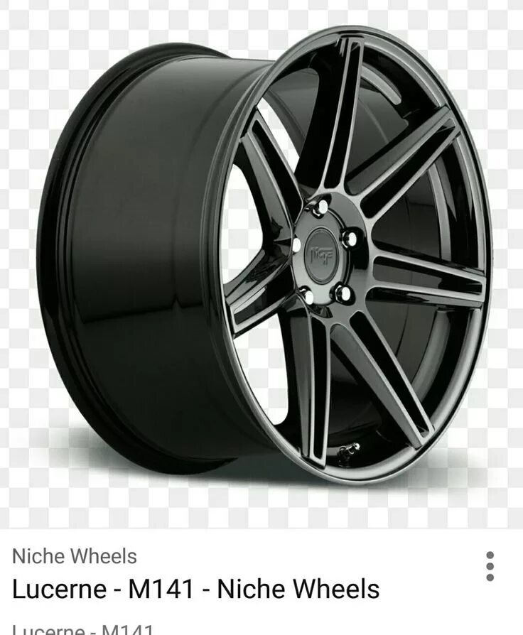Niche 1