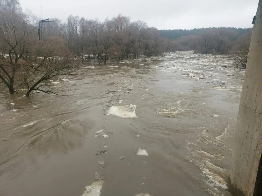 Уровень воды в обнинске сегодня. Обнинск половодье Протва 2023. Река Протва Обнинск. Обнинск Протва наводнение. Разлив Протвы.